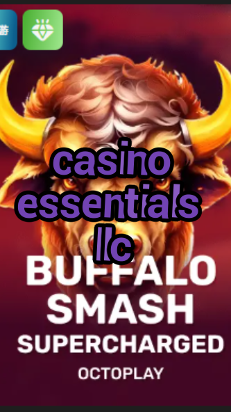 casino essentials llc-w4cy2mdjlx2bf.com
